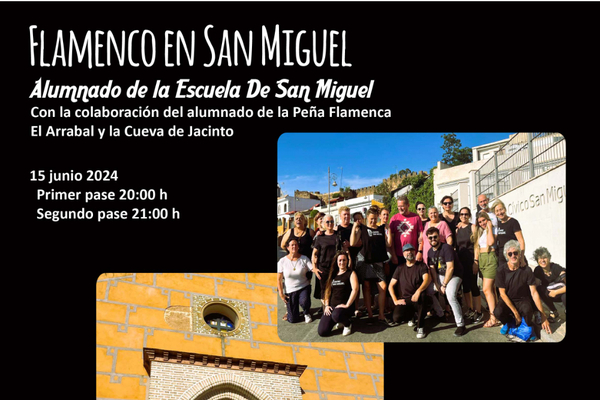 Flamenco en San Miguel