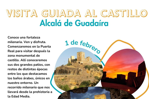 Visita guiada al Castillo