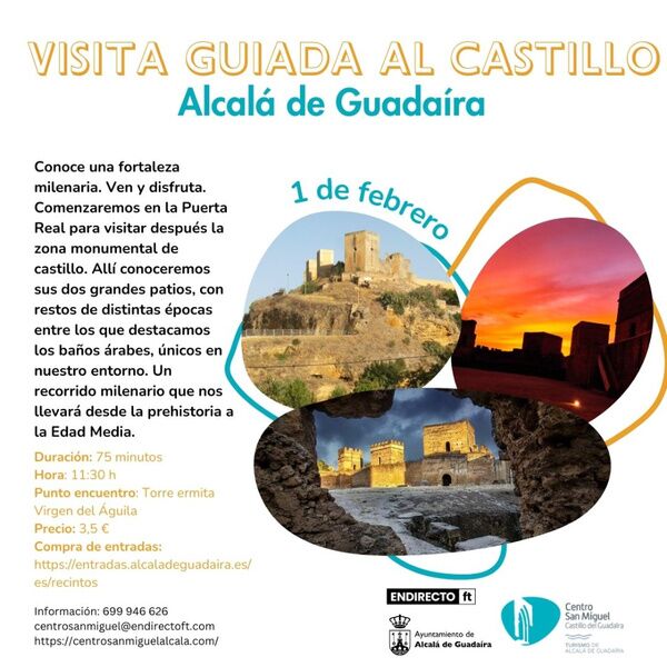 Visita guiada al Castillo