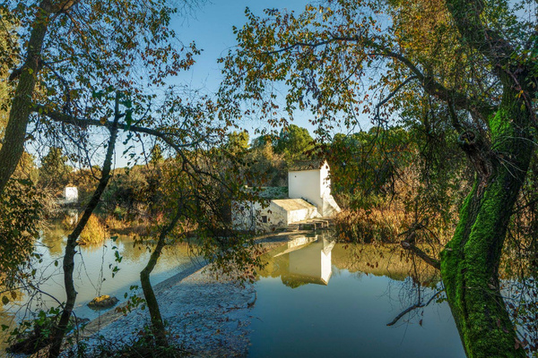 Presentación del libro `Los Molinos de Alcalá de Guadaíra: orígenes, expansión y ocaso (S. XIII- XX)