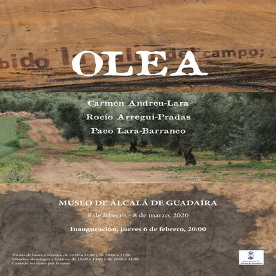 Exposición OLEA en el Museo de la ciudad