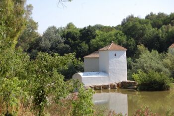 ESTUDIANTES EXTRANJEROS CONOCERÁN ESTOS DÍAS EL PATRIMONIO CULTURAL Y NATURAL DE ALCALÁ