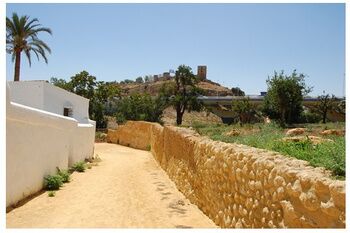 EL MOLINO DE VADALEJOS ACOGERÁ UN ÁREA DE OCIO Y RESTAURACIÓN