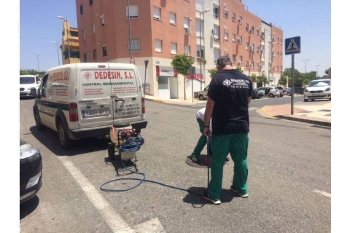 EL AYUNTAMIENTO REALIZA TAREAS DE DESINSECTACIÓN CONTRA CUCARACHAS Y OTROS INSECTOS POR LAS DIFERENTES BARRIADAS DE ALCALÁ