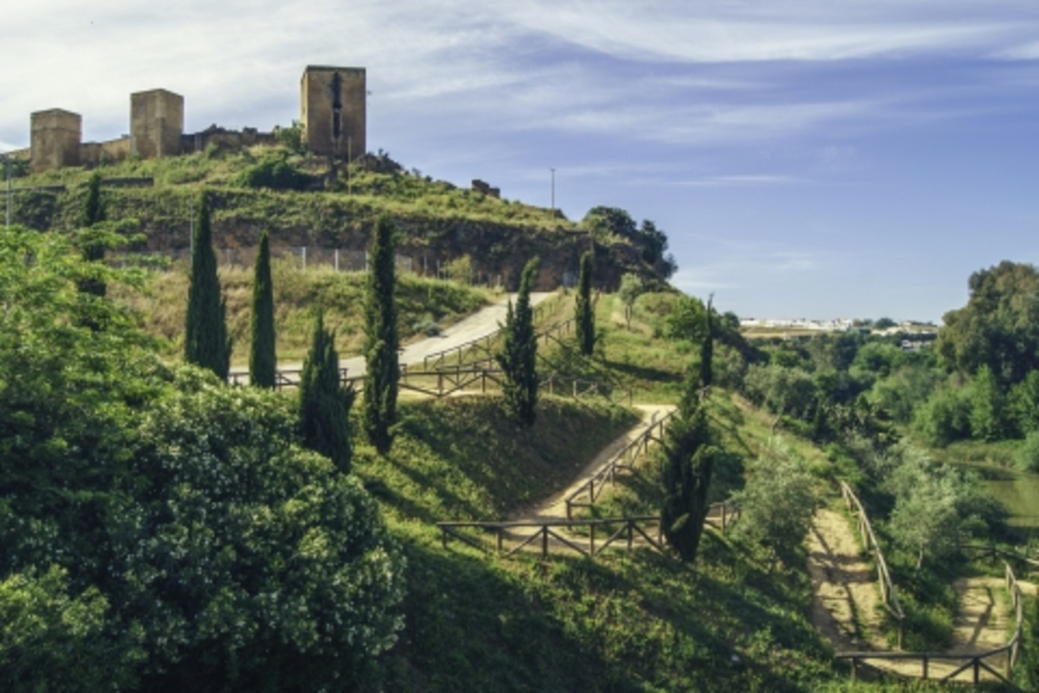 EL AYUNTAMIENTO DESTINA MÁS DE 600.000 EUROS A LA CONSERVACIÓN Y MEJORA DEL MONUMENTO NATURAL