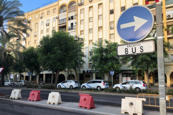 EL AYUNTAMIENTO ELIMINA PARTE DE LA MEDIANERA EN LA AVENIDA DE LA CONSTITUCIÓN PARA EL PASO PROVISIONAL DE AUTOBUSES