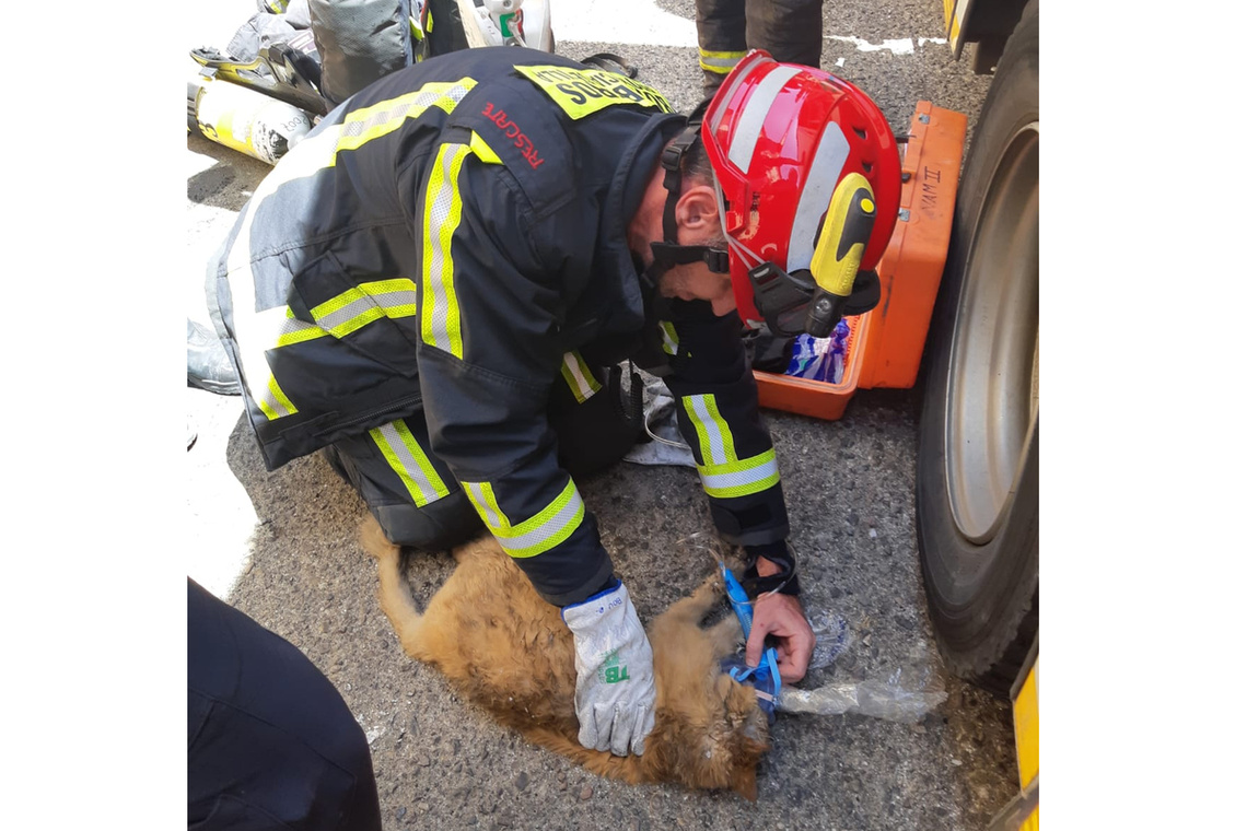 Una impecable actuación de los bomberos en la extinción del incendio en una vivienda