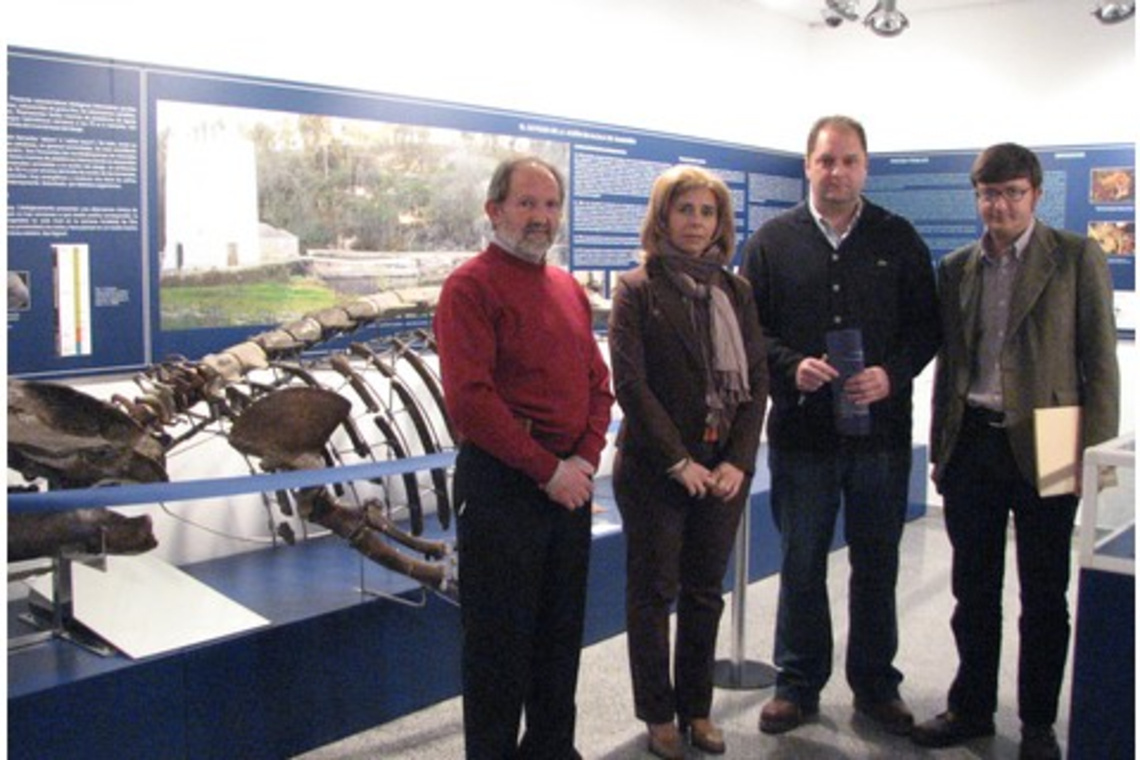 EL MUSEO DE ALCALÁ CUENTA CON UNA SALA PERMANENTE DE PALEONTOLOGÍA