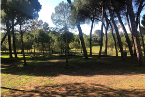 Comienza la repoblación y mejora de caminos en el Monumento Natural Ribera del Guadaíra