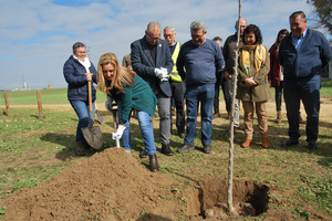 Actuaciones de regeneración vegetal que potencian el Guadaíra como corredor verde metropolitano