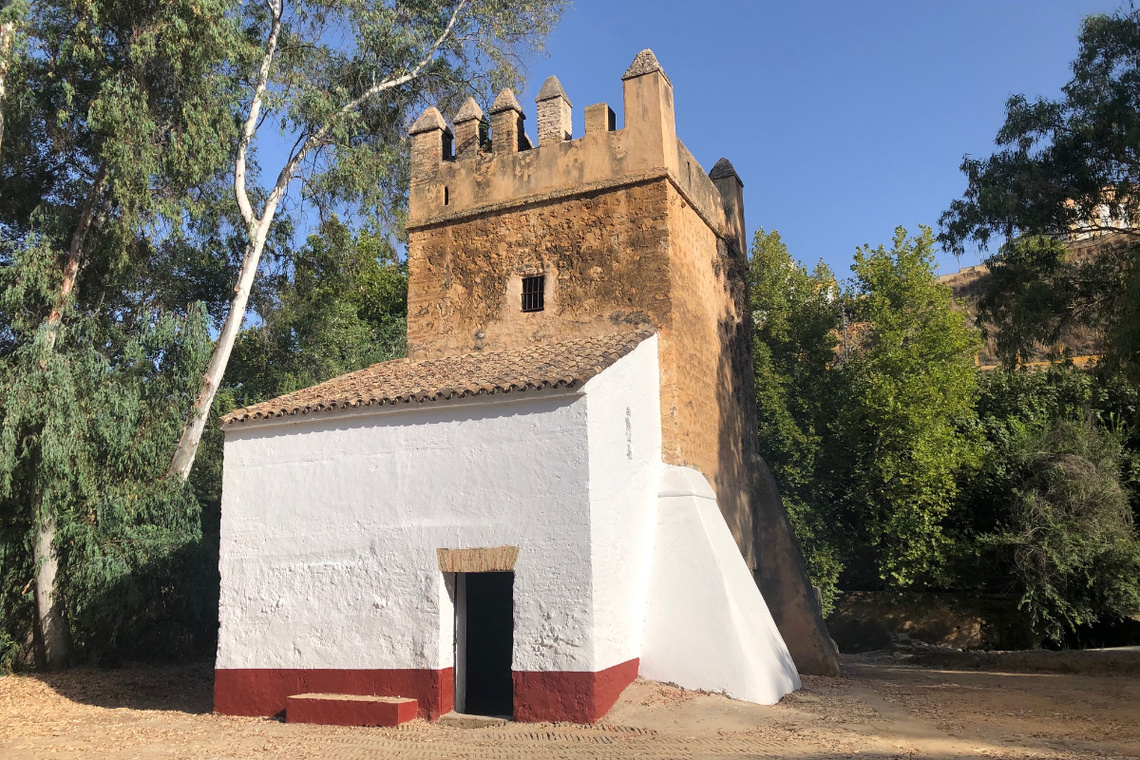 Avanza el Plan municipal de conservación del Monumento Natural con la restauración del Molino del Algarrobo