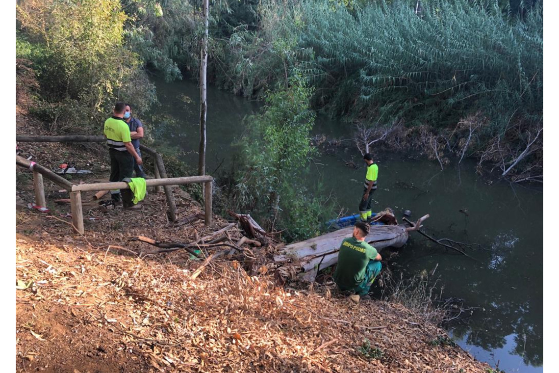 Retirados los árboles caídos sobre el Guadaíra y ejemplares enfermos que se sustituirán por especies autóctonas