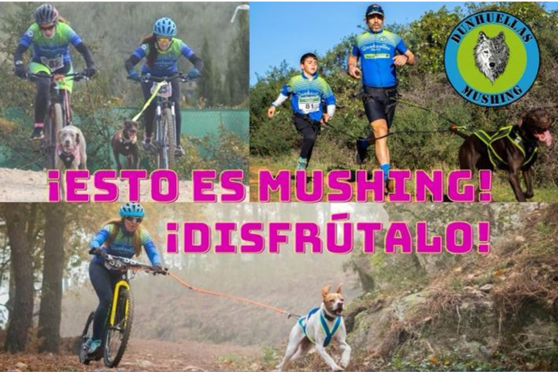 El III Mushing de Alcalá-Dunhuellas se celebra este domingo 10 de enero en el entorno de Oromana