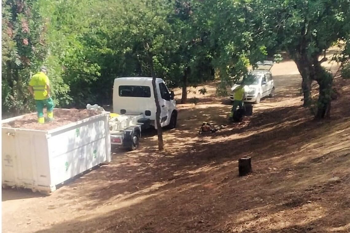 El Gobierno municipal lamenta que se utilice el Monumento Natural “para generar falsas alarmas y perjudicar a Alcalá”