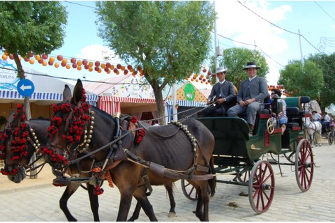 LA FERIA DE ALCALÁ CUMPLE SU 25 ANIVERSARIO EN EL RECINTO DE SAN JUAN