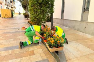 ​El Ayuntamiento intensifica la decoración floral para celebrar la festividad de la Virgen del Águila