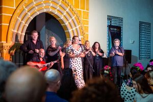 ​   ​Noctaíra llena de flamenco el Centro San Miguel