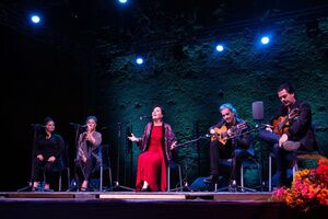 Alcalá celebró el XLIV Festival Flamenco Joaquín el de la Paula