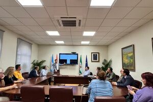 El Consejo Sectorial de Cultura y Patrimonio valora el proyecto reformado del Centro de Interpretación del Castillo