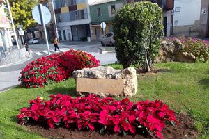 Exorno floral navideño para plazas y vías públicas de Alcalá