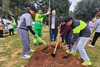 Nueva jornada de plantación dentro del Plan de Reforestación 2024-2027 para crear espacios más verdes