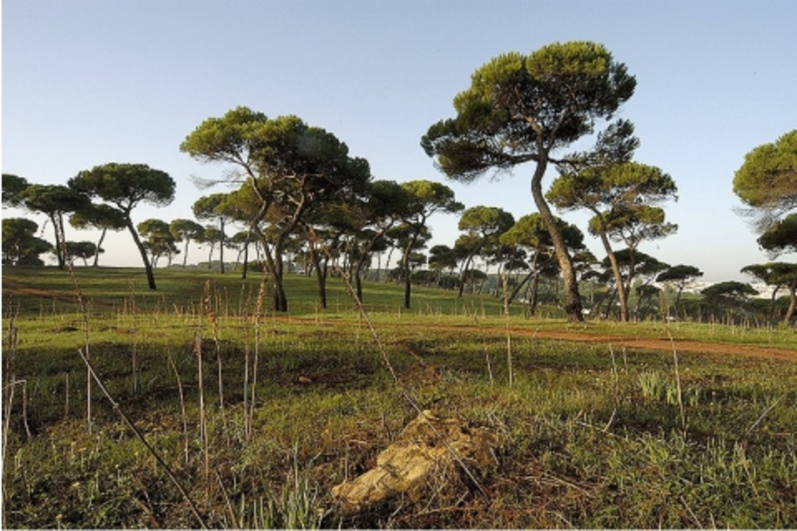 ALCALÁ PROTEGE SU PATRIMONIO NATURAL CON LA CAMPAÑA DE PREVENCIÓN DE INCENDIOS