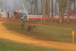 Alcalá de Guadaíra continúa posicionándose dentro del calendario nacional deportivo del Mushing