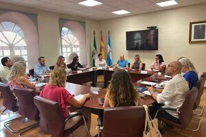 Luz verde al contrato para la gestión ética e integral de colonias felinas y la recogida de animales abandonados