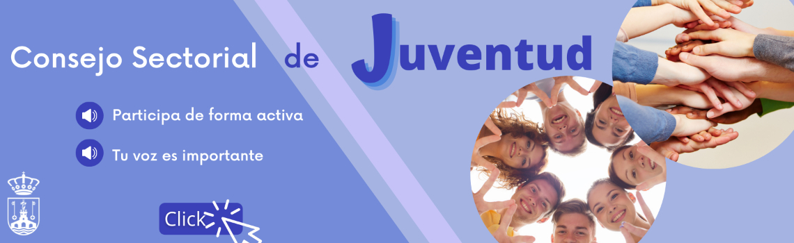 Consejo Sectorial de Juventud