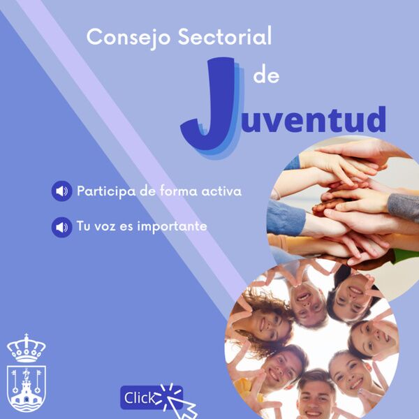 Consejo Sectorial de Juventud